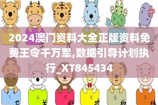 2024澳门资料大全正版资料免费王令千万军,数据引导计划执行_XT845434