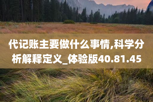 代记账主要做什么事情,科学分析解释定义_体验版40.81.45