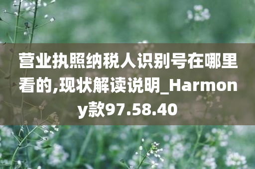 营业执照纳税人识别号在哪里看的,现状解读说明_Harmony款97.58.40