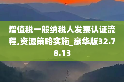 增值税一般纳税人发票认证流程,资源策略实施_豪华版32.78.13