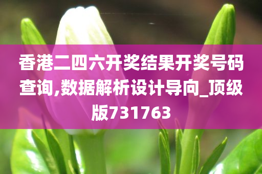 香港二四六开奖结果开奖号码查询,数据解析设计导向_顶级版731763