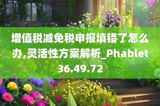 增值税减免税申报填错了怎么办,灵活性方案解析_Phablet36.49.72