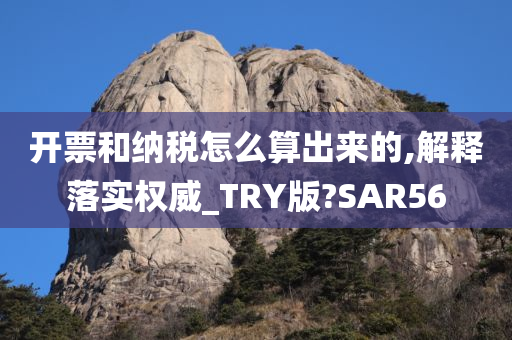 开票和纳税怎么算出来的,解释落实权威_TRY版?SAR56