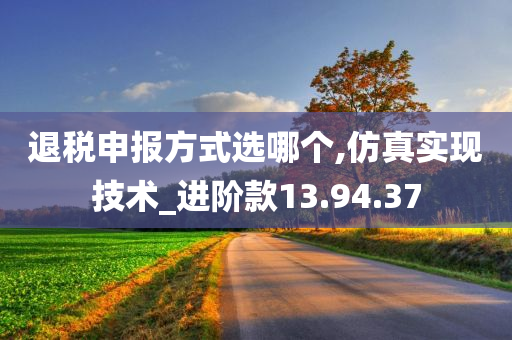 退税申报方式选哪个,仿真实现技术_进阶款13.94.37