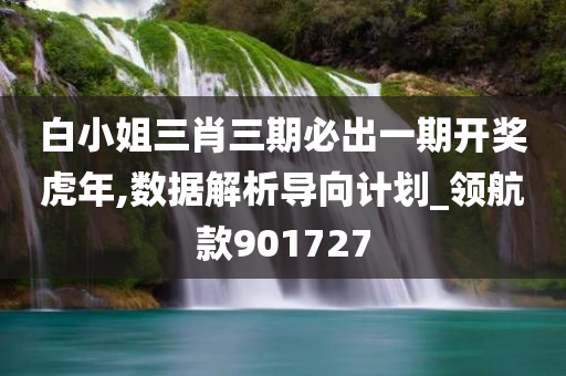 白小姐三肖三期必出一期开奖虎年,数据解析导向计划_领航款901727