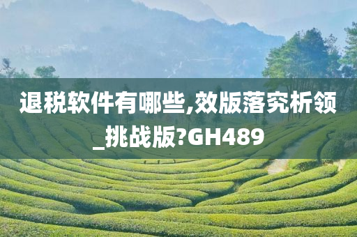 退税软件有哪些,效版落究析领_挑战版?GH489