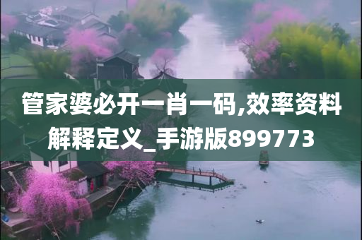 管家婆必开一肖一码,效率资料解释定义_手游版899773