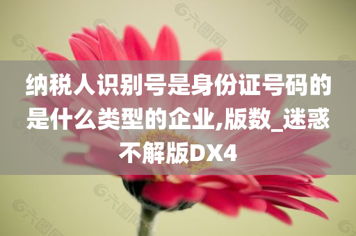 纳税人识别号是身份证号码的是什么类型的企业,版数_迷惑不解版DX4