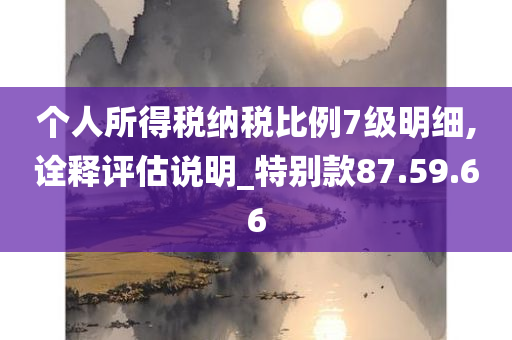 个人所得税纳税比例7级明细,诠释评估说明_特别款87.59.66