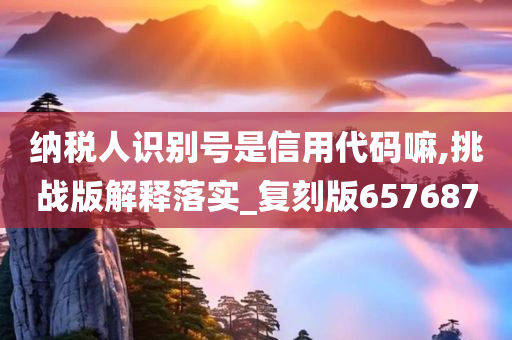 纳税人识别号是信用代码嘛,挑战版解释落实_复刻版657687