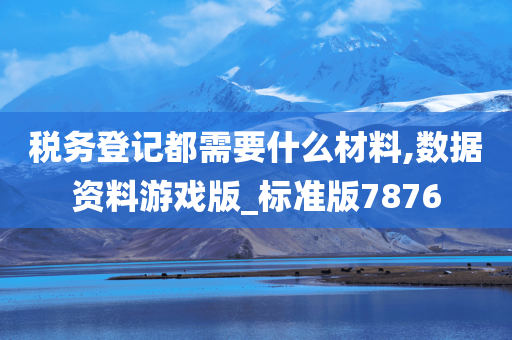 税务登记都需要什么材料,数据资料游戏版_标准版7876