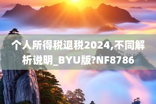 个人所得税退税2024,不同解析说明_BYU版?NF8786