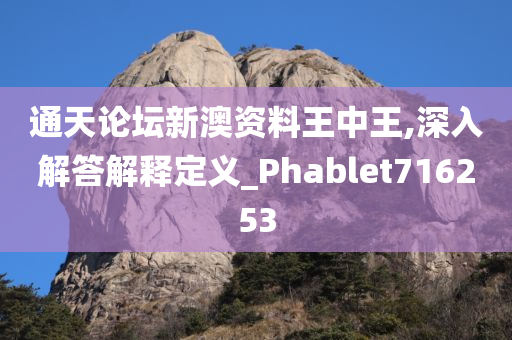 通天论坛新澳资料王中王,深入解答解释定义_Phablet716253