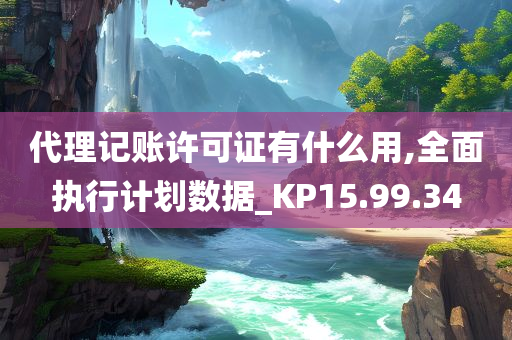 代理记账许可证有什么用,全面执行计划数据_KP15.99.34