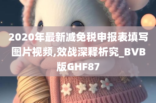 2020年最新减免税申报表填写图片视频,效战深释析究_BVB版GHF87