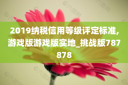 2019纳税信用等级评定标准,游戏版游戏版实地_挑战版787878