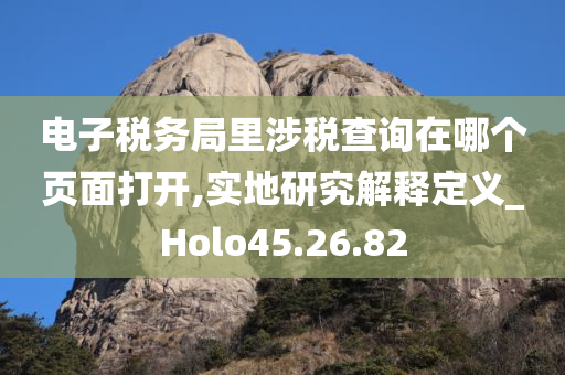 电子税务局里涉税查询在哪个页面打开,实地研究解释定义_Holo45.26.82