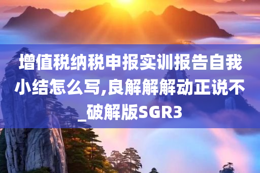 增值税纳税申报实训报告自我小结怎么写,良解解解动正说不_破解版SGR3