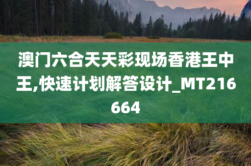 澳门六合天天彩现场香港王中王,快速计划解答设计_MT216664