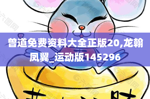 曾道免费资料大全正版20,龙翰凤翼_运动版145296