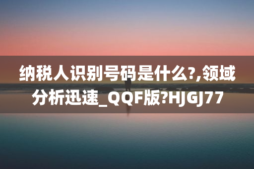 纳税人识别号码是什么?,领域分析迅速_QQF版?HJGJ77