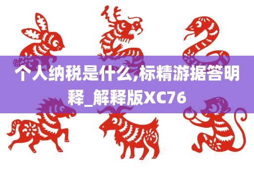 个人纳税是什么,标精游据答明释_解释版XC76