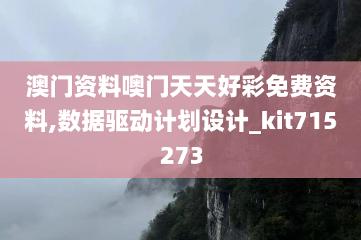 澳门资料噢门天天好彩免费资料,数据驱动计划设计_kit715273