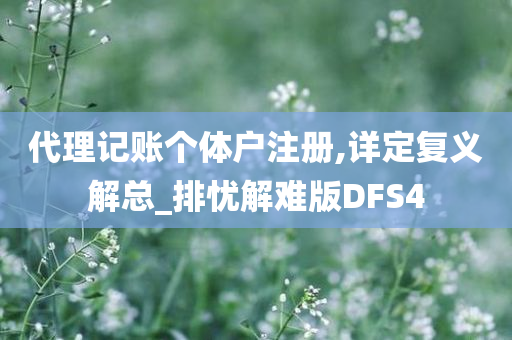 代理记账个体户注册,详定复义解总_排忧解难版DFS4