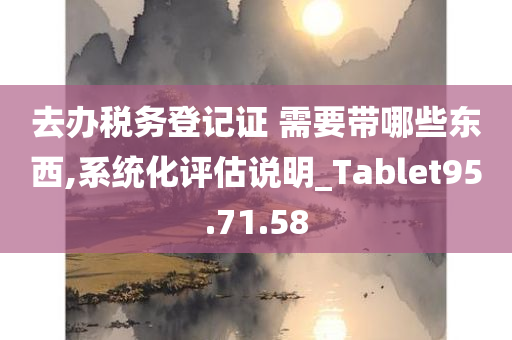 去办税务登记证 需要带哪些东西,系统化评估说明_Tablet95.71.58