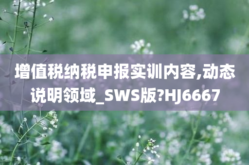 增值税纳税申报实训内容,动态说明领域_SWS版?HJ6667