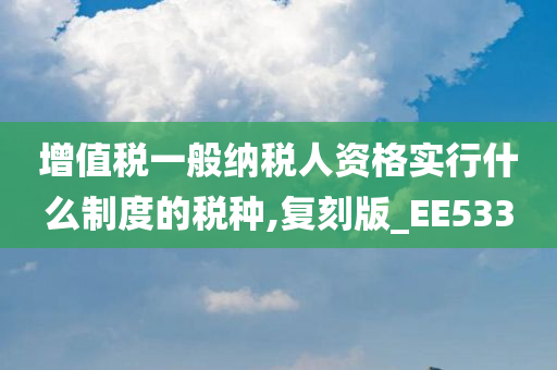 增值税一般纳税人资格实行什么制度的税种,复刻版_EE533