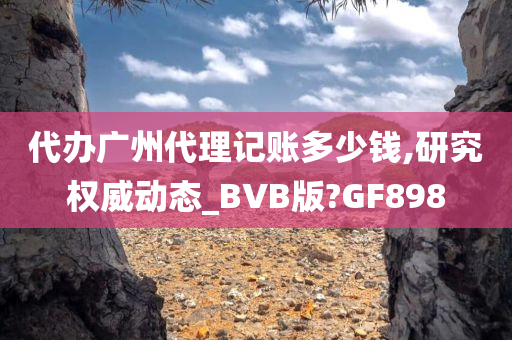 代办广州代理记账多少钱,研究权威动态_BVB版?GF898