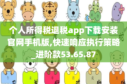 个人所得税退税app下载安装官网手机版,快速响应执行策略_进阶款53.65.87