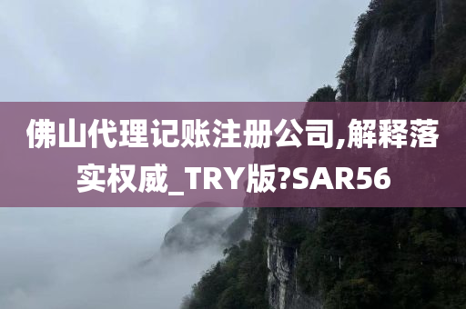 佛山代理记账注册公司,解释落实权威_TRY版?SAR56