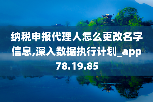 纳税申报代理人怎么更改名字信息,深入数据执行计划_app78.19.85