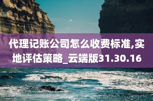 代理记账公司怎么收费标准,实地评估策略_云端版31.30.16