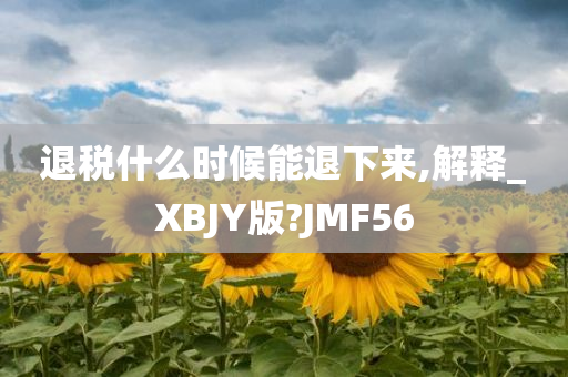 退税什么时候能退下来,解释_XBJY版?JMF56