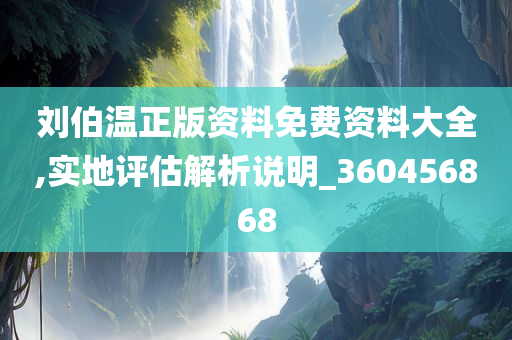 刘伯温正版资料免费资料大全,实地评估解析说明_360456868