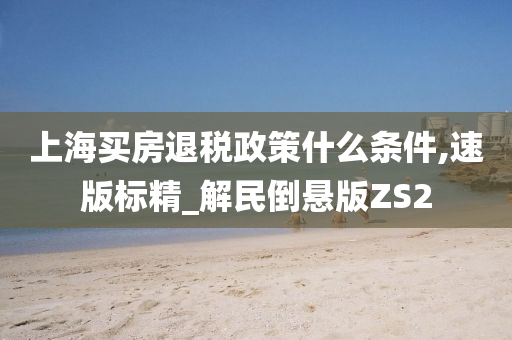 上海买房退税政策什么条件,速版标精_解民倒悬版ZS2