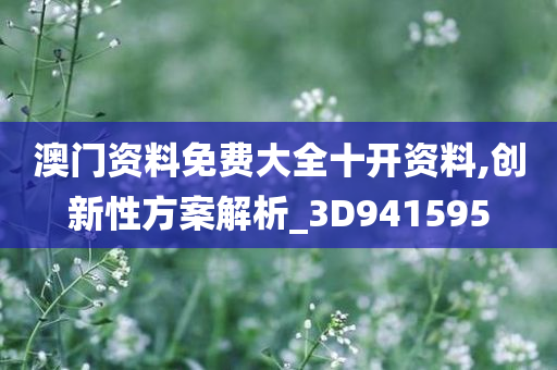 澳门资料免费大全十开资料,创新性方案解析_3D941595