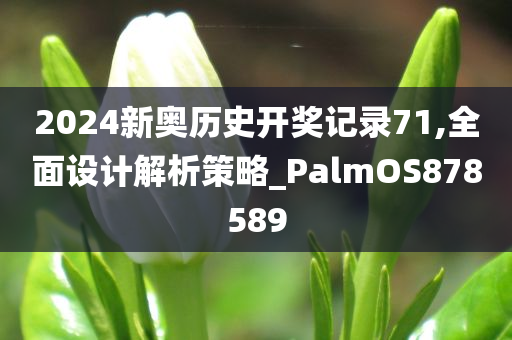 2024新奥历史开奖记录71,全面设计解析策略_PalmOS878589