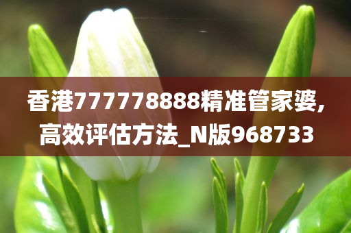 香港777778888精准管家婆,高效评估方法_N版968733