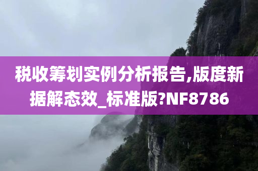 税收筹划实例分析报告,版度新据解态效_标准版?NF8786