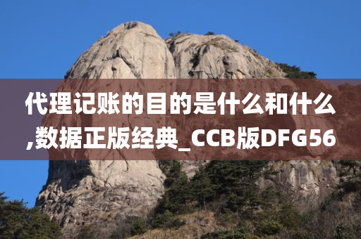 代理记账的目的是什么和什么,数据正版经典_CCB版DFG56