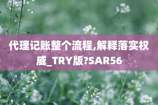 代理记账整个流程,解释落实权威_TRY版?SAR56