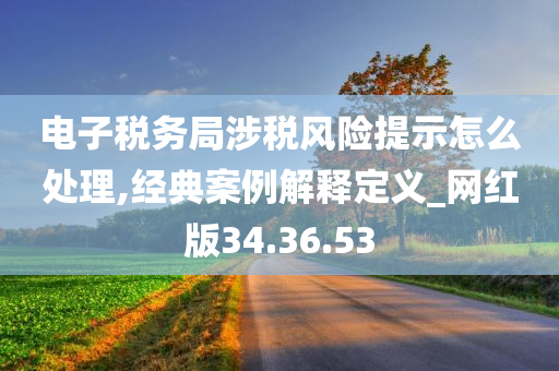 电子税务局涉税风险提示怎么处理,经典案例解释定义_网红版34.36.53