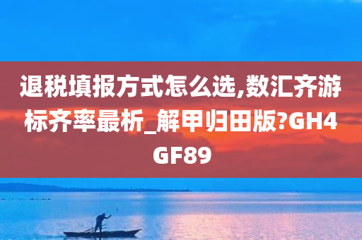 退税填报方式怎么选,数汇齐游标齐率最析_解甲归田版?GH4GF89