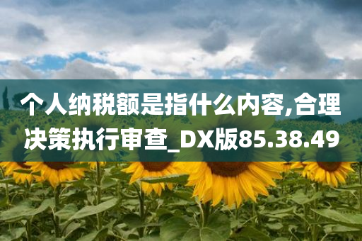 个人纳税额是指什么内容,合理决策执行审查_DX版85.38.49