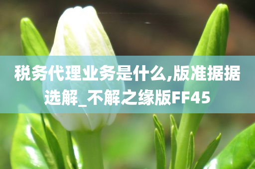 税务代理业务是什么,版准据据选解_不解之缘版FF45