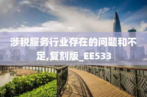 涉税服务行业存在的问题和不足,复刻版_EE533